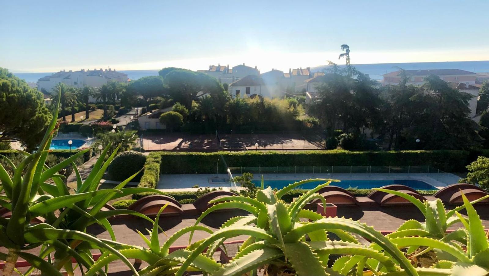 Antibes Secured Parc Velusine With Private Parking, Terrace, Pools And Tennis Courts. Buitenkant foto